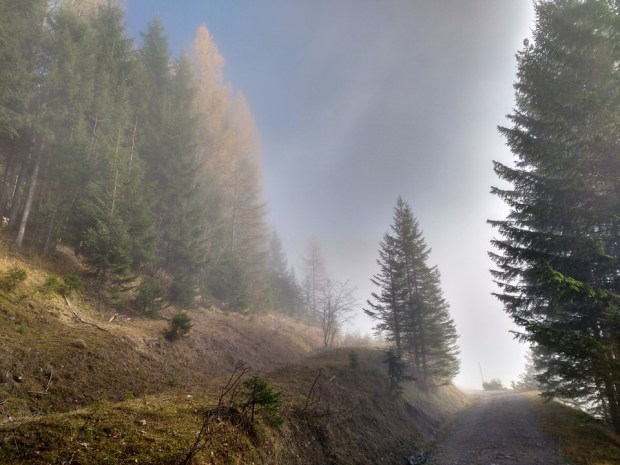 img_20161126_115938339_hdr