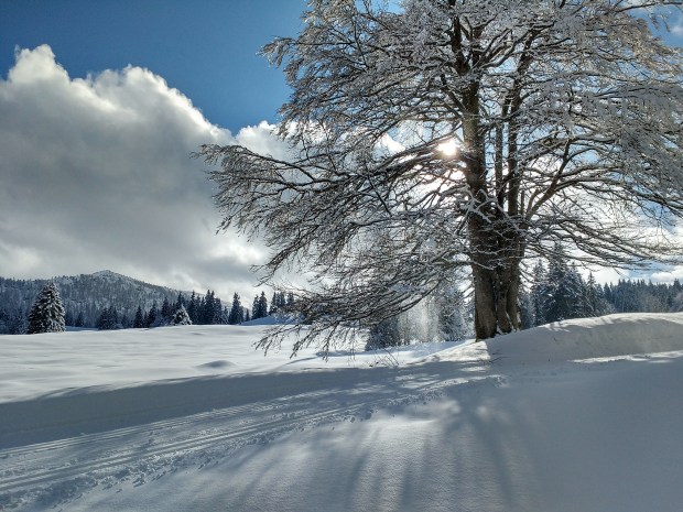 img_20170218_144732853_hdr