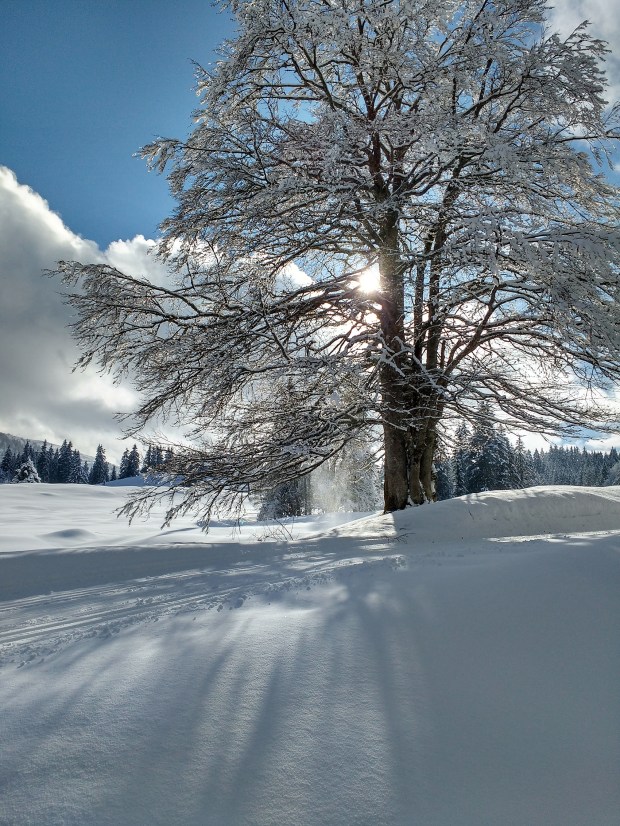 img_20170218_144735882_hdr