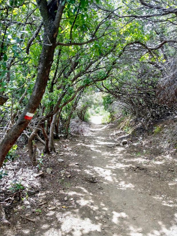 881f96f9-4b15-4762-9075-6dde8ba589d5