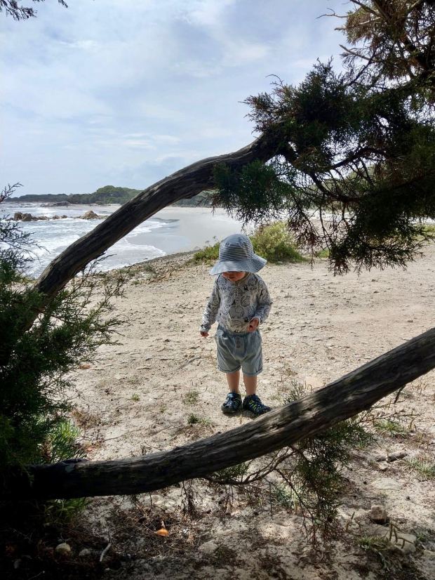 cd48cd45-a73c-4c81-90e5-6be6d869a4f0